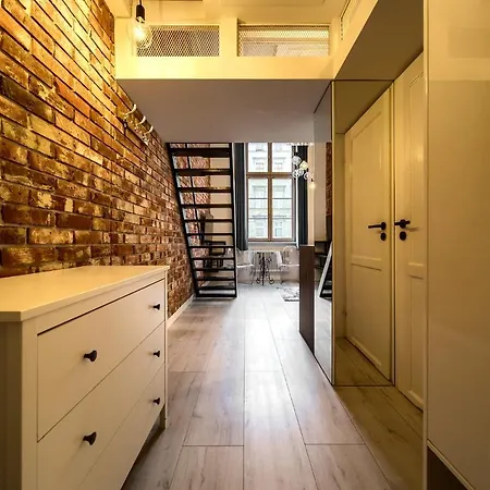 Loft With Mezzanine Apartment