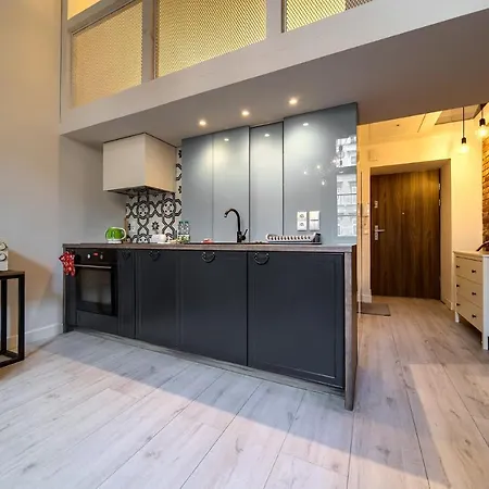 Loft With Mezzanine Apartment Wroclaw